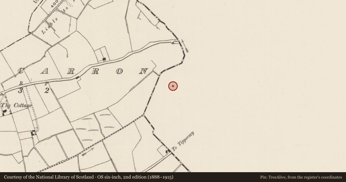 Ordnance Survey six-inch map, 2nd edition (1888–1915) covering the location of Barrow - ditch barrow, Ballywire, County Tipperary South, with a pin at the register's coordinates