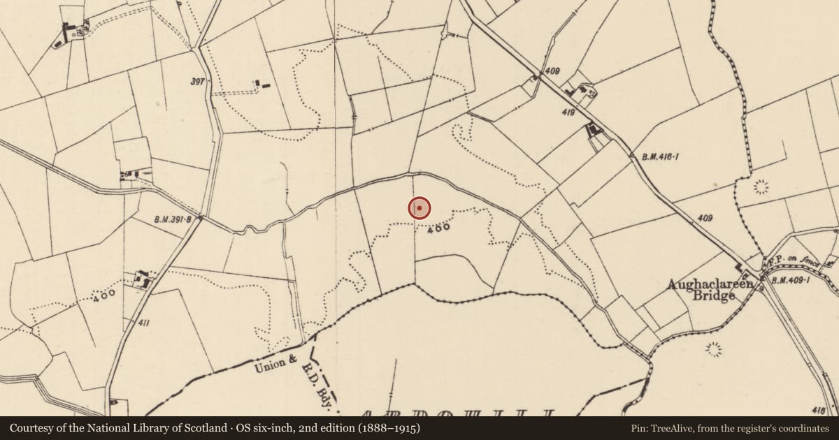 Ordnance Survey six-inch map, 2nd edition (1888–1915) covering the location of Ring-ditch, Moanmore (Emly Par.), County Tipperary South, with a pin at the register's coordinates