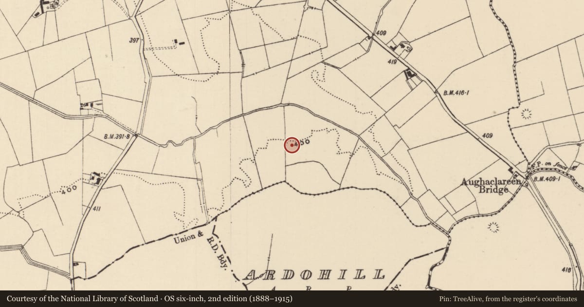 Ordnance Survey six-inch map, 2nd edition (1888–1915) covering the location of Ring-ditch, Moanmore (Emly Par.), County Tipperary South, with a pin at the register's coordinates