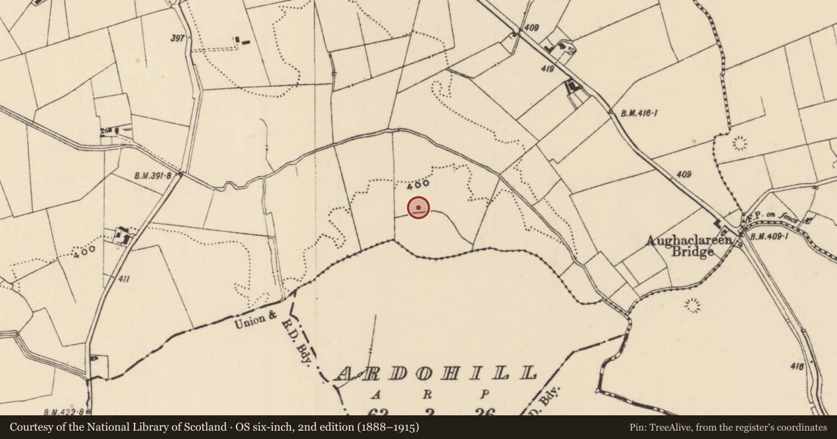 Ordnance Survey six-inch map, 2nd edition (1888–1915) covering the location of Ring-ditch, Moanmore (Emly Par.), County Tipperary South, with a pin at the register's coordinates