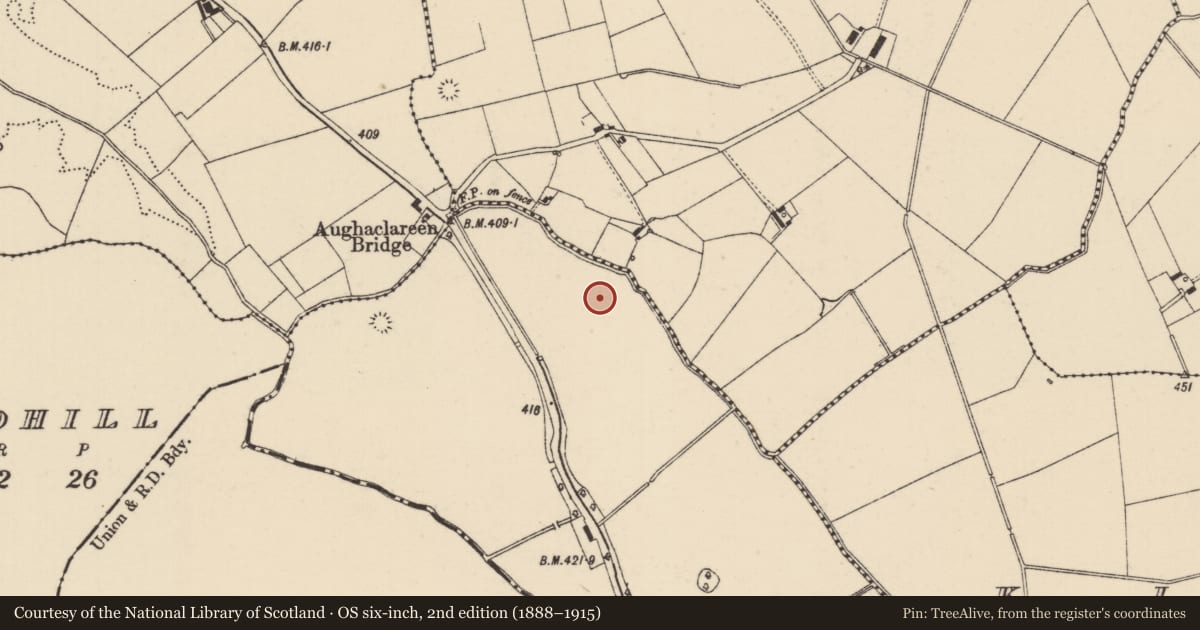 Ordnance Survey six-inch map, 2nd edition (1888–1915) covering the location of Barrow - ditch barrow, Ballywire, County Tipperary South, with a pin at the register's coordinates