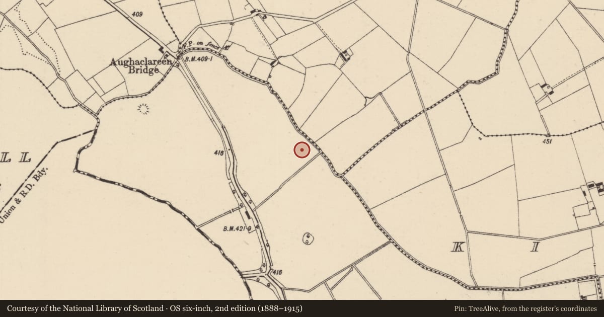 Ordnance Survey six-inch map, 2nd edition (1888–1915) covering the location of Barrow - ditch barrow, Ballywire, County Tipperary South, with a pin at the register's coordinates