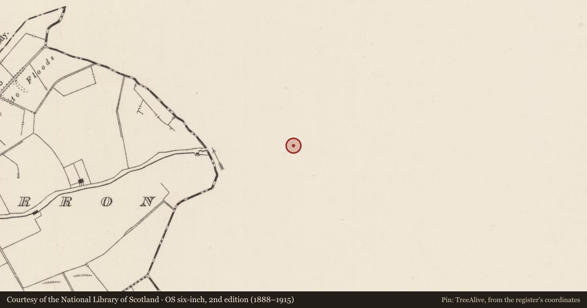 Ordnance Survey six-inch map, 2nd edition (1888–1915) covering the location of Barrow - ring-barrow, Ballywire, County Tipperary South, with a pin at the register's coordinates