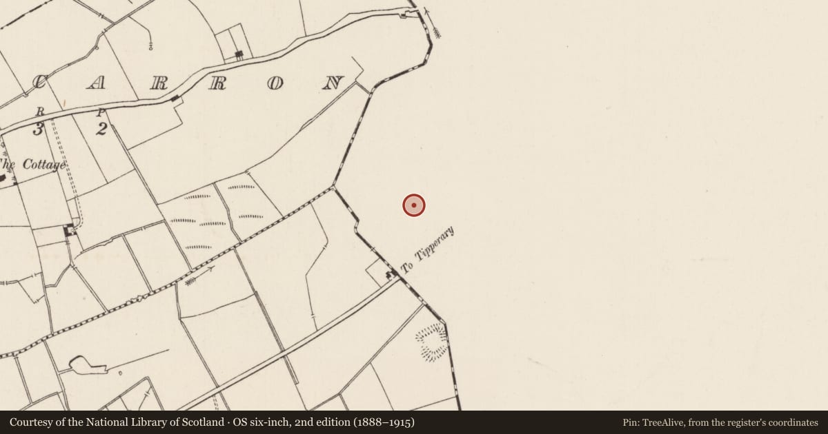 Ordnance Survey six-inch map, 2nd edition (1888–1915) covering the location of Barrow - ring-barrow, Ballywire, County Tipperary South, with a pin at the register's coordinates