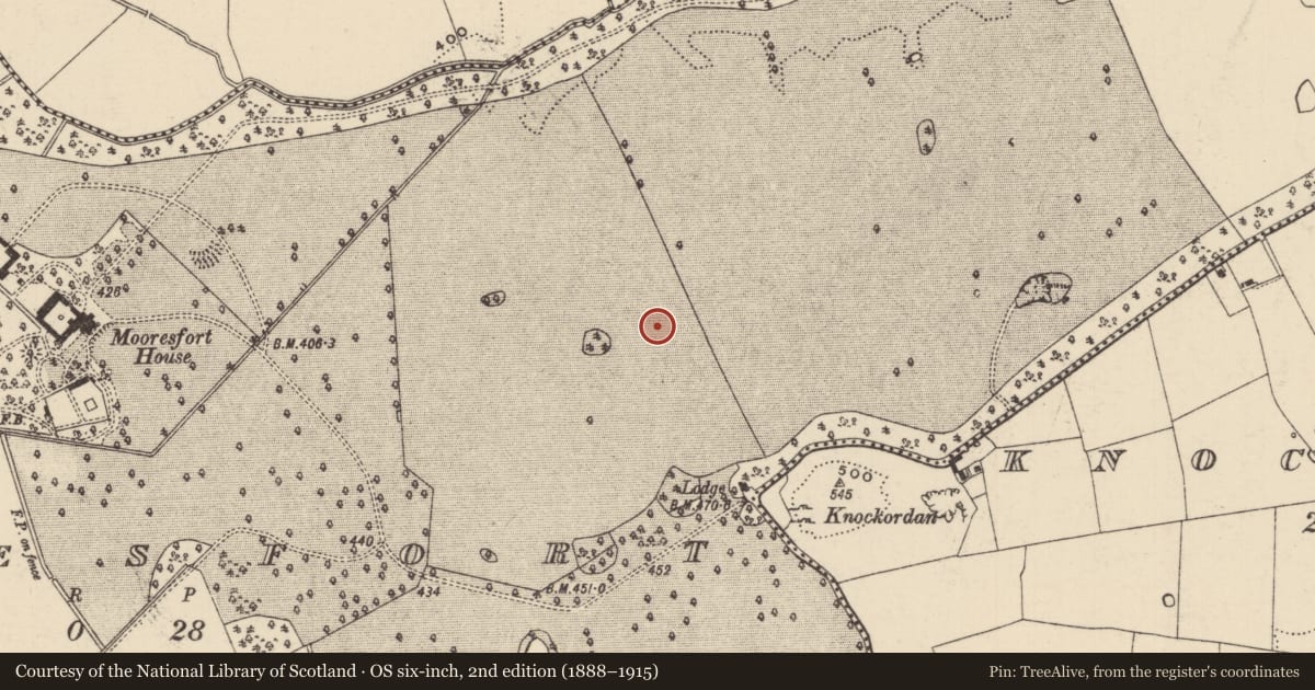 Ordnance Survey six-inch map, 2nd edition (1888–1915) covering the location of Barrow - ditch barrow, Mooresfort, County Tipperary South, with a pin at the register's coordinates