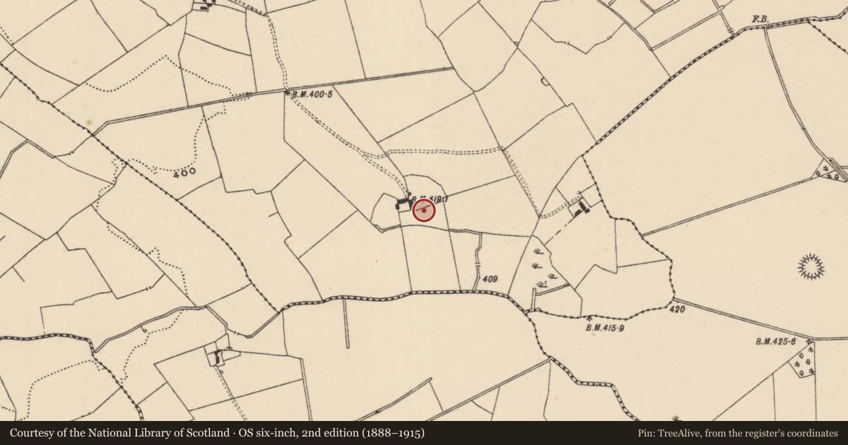Ordnance Survey six-inch map, 2nd edition (1888–1915) covering the location of Standing stone, Lissobihane, County Tipperary South, with a pin at the register's coordinates
