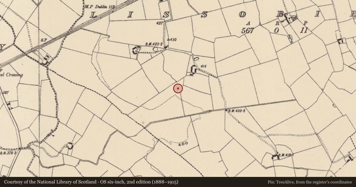 Ordnance Survey six-inch map, 2nd edition (1888–1915) covering the location of Barrow - ditch barrow, Lissobihane, County Tipperary South, with a pin at the register's coordinates