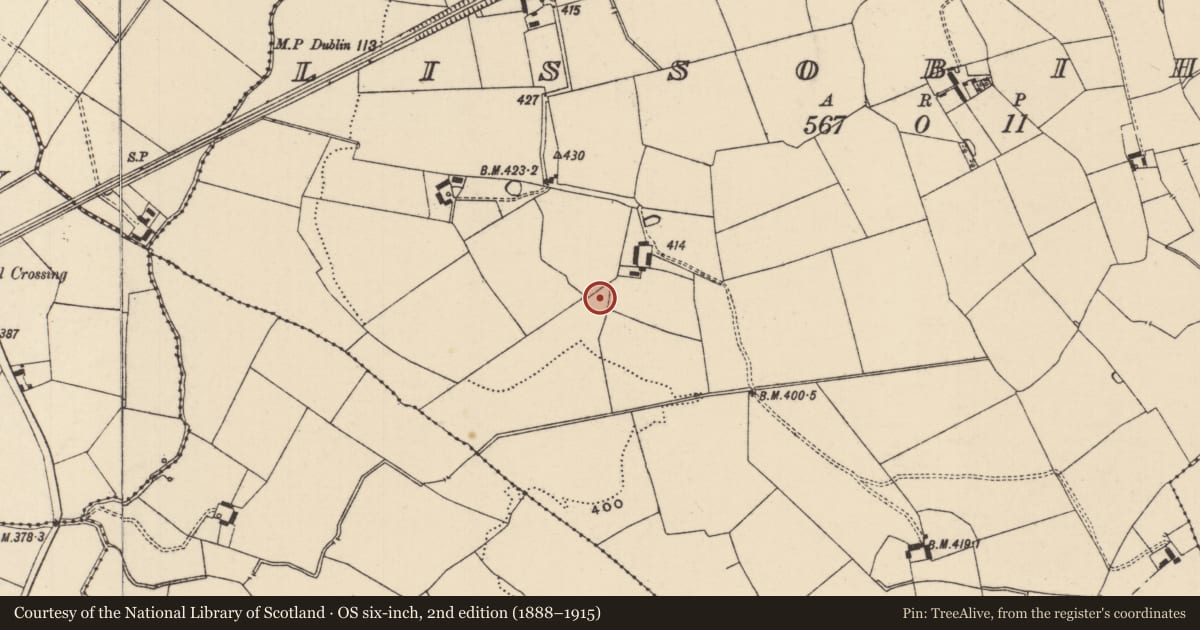 Ordnance Survey six-inch map, 2nd edition (1888–1915) covering the location of Barrow - ditch barrow, Lissobihane, County Tipperary South, with a pin at the register's coordinates
