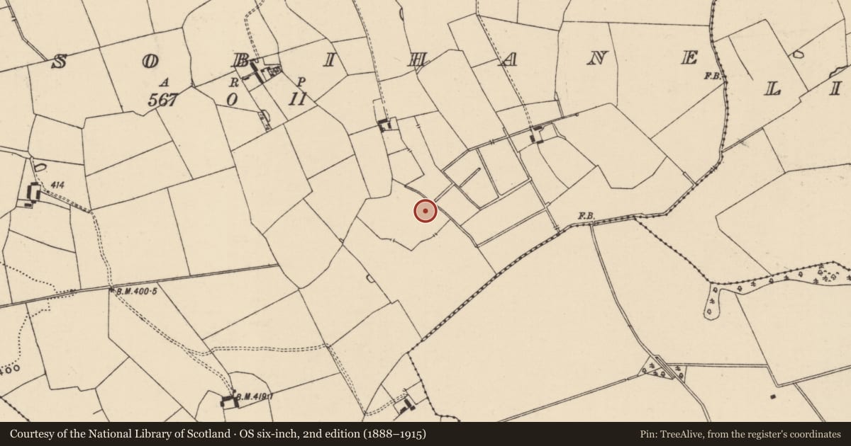 Ordnance Survey six-inch map, 2nd edition (1888–1915) covering the location of Barrow - ditch barrow, Lissobihane, County Tipperary South, with a pin at the register's coordinates