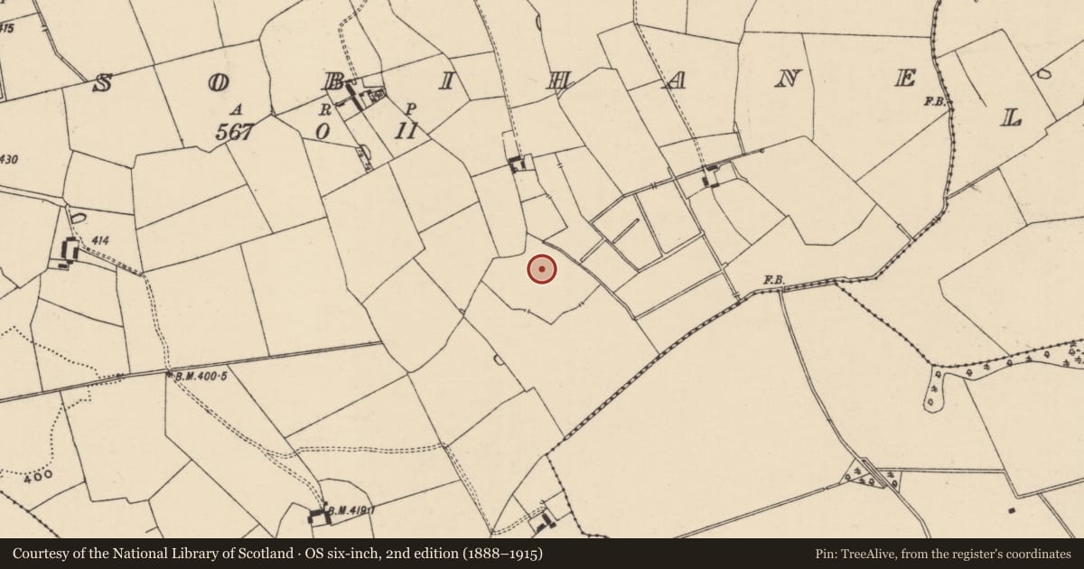 Ordnance Survey six-inch map, 2nd edition (1888–1915) covering the location of Barrow - ditch barrow, Lissobihane, County Tipperary South, with a pin at the register's coordinates