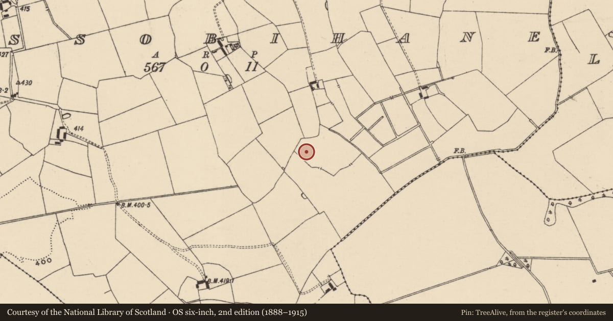Ordnance Survey six-inch map, 2nd edition (1888–1915) covering the location of Barrow - ring-barrow, Lissobihane, County Tipperary South, with a pin at the register's coordinates