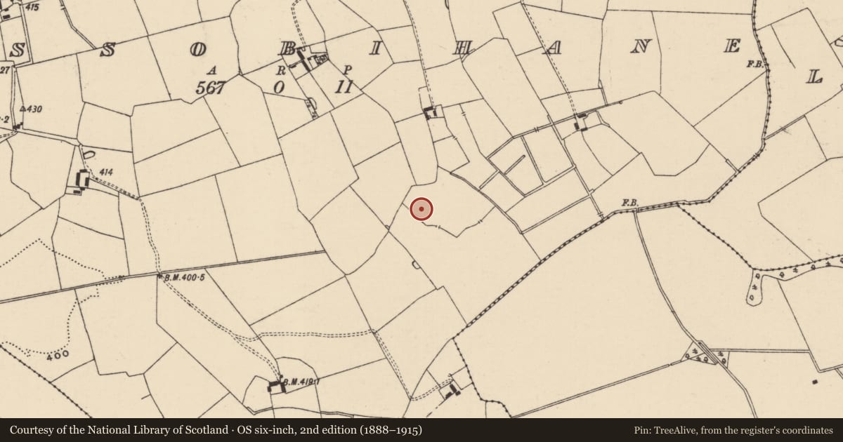 Ordnance Survey six-inch map, 2nd edition (1888–1915) covering the location of Barrow - ditch barrow, Lissobihane, County Tipperary South, with a pin at the register's coordinates
