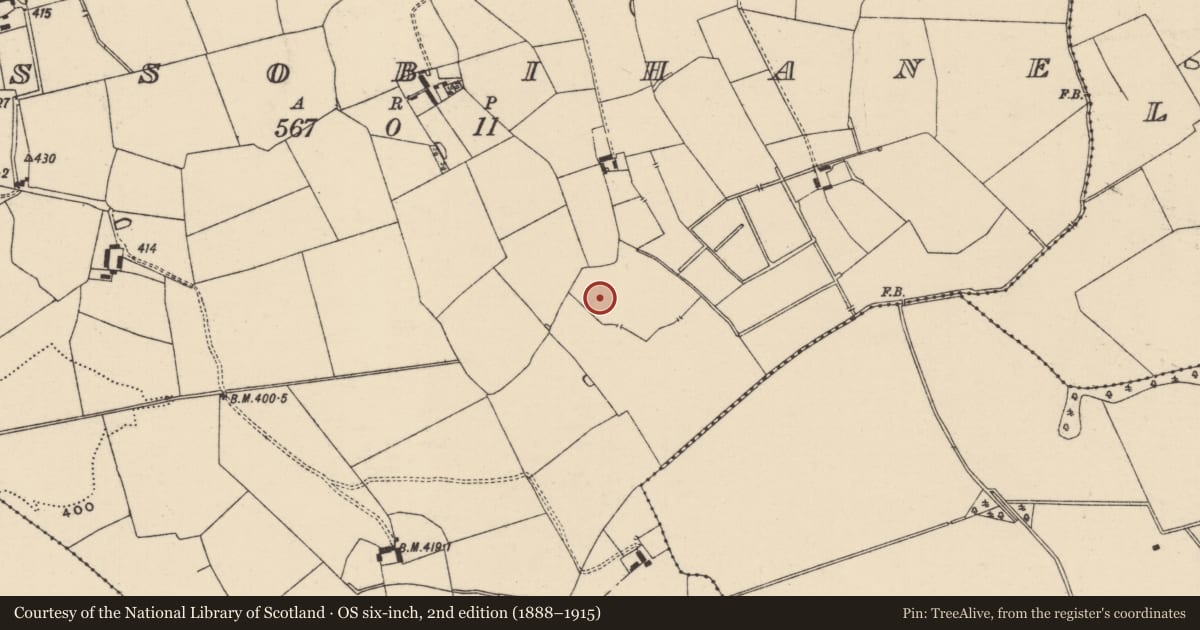 Ordnance Survey six-inch map, 2nd edition (1888–1915) covering the location of Barrow - ditch barrow, Lissobihane, County Tipperary South, with a pin at the register's coordinates
