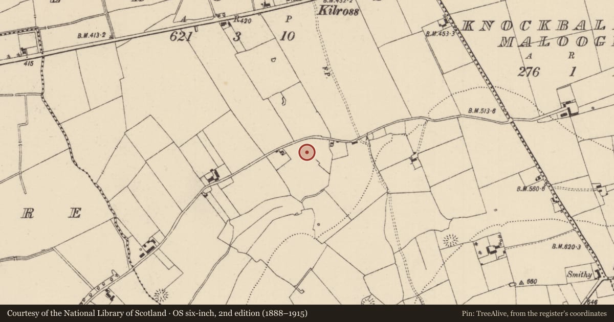 Ordnance Survey six-inch map, 2nd edition (1888–1915) covering the location of Standing stone, Lisduff (Lattin Par.), County Tipperary South, with a pin at the register's coordinates