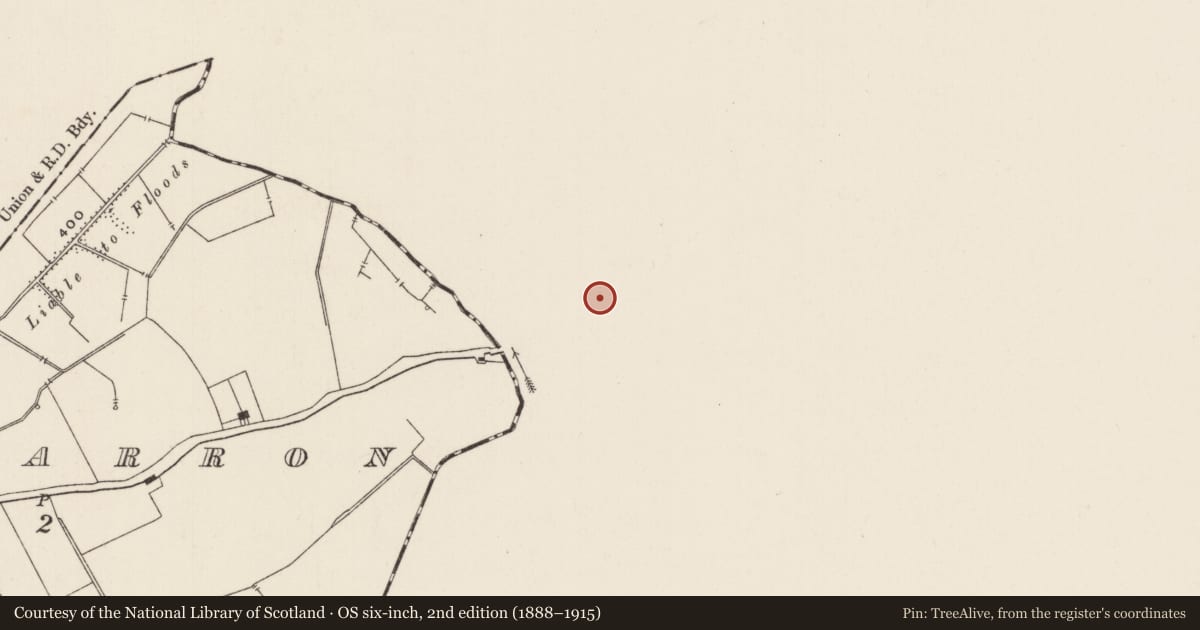 Ordnance Survey six-inch map, 2nd edition (1888–1915) covering the location of Standing stone, Ballywire, County Tipperary South, with a pin at the register's coordinates