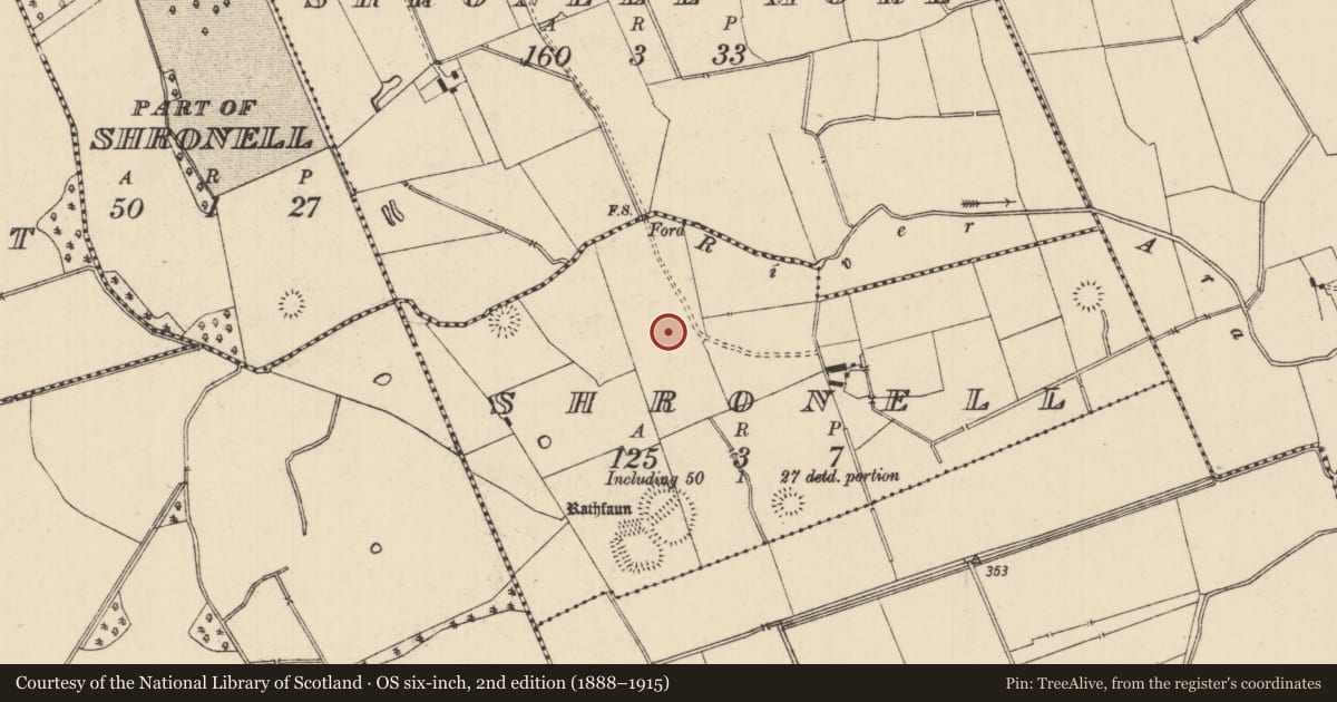 Ordnance Survey six-inch map, 2nd edition (1888–1915) covering the location of Barrow - ditch barrow, Shronell (Bruis Par.), County Tipperary South, with a pin at the register's coordinates