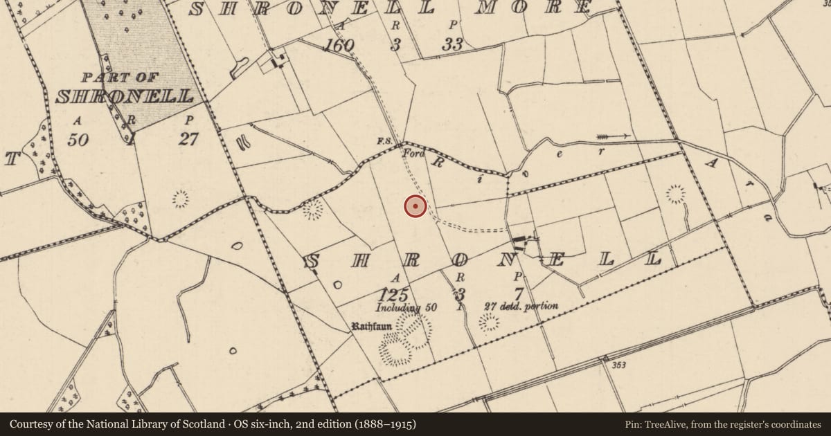 Ordnance Survey six-inch map, 2nd edition (1888–1915) covering the location of Barrow - ditch barrow, Shronell (Bruis Par.), County Tipperary South, with a pin at the register's coordinates