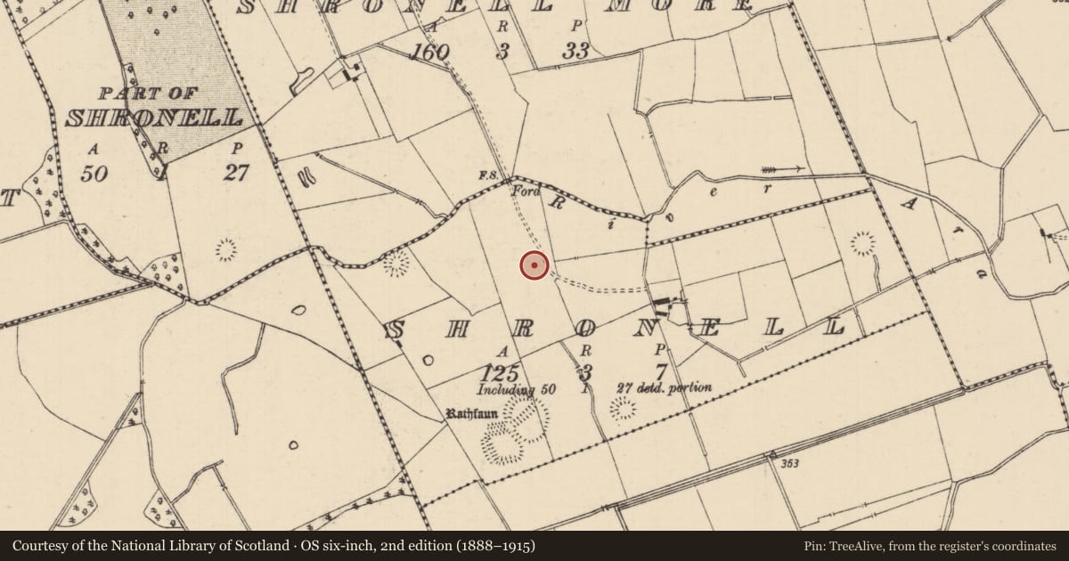 Ordnance Survey six-inch map, 2nd edition (1888–1915) covering the location of Barrow - ditch barrow, Shronell (Bruis Par.), County Tipperary South, with a pin at the register's coordinates