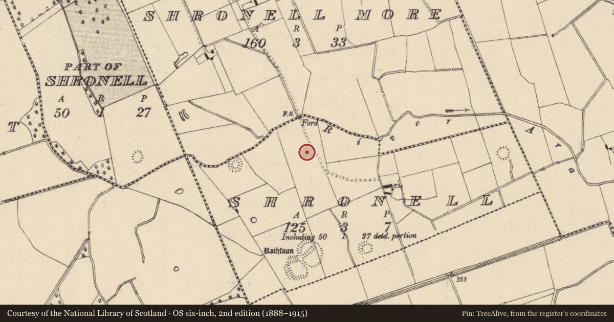 Ordnance Survey six-inch map, 2nd edition (1888–1915) covering the location of Barrow - ditch barrow, Shronell (Bruis Par.), County Tipperary South, with a pin at the register's coordinates