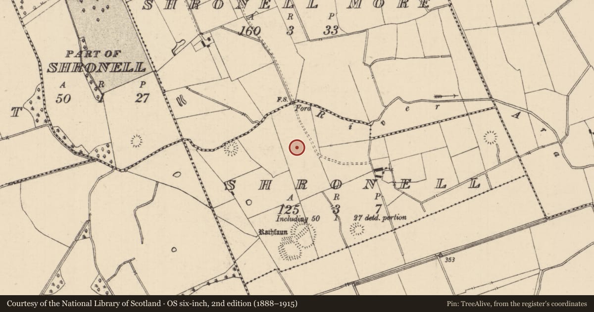 Ordnance Survey six-inch map, 2nd edition (1888–1915) covering the location of Barrow - ditch barrow, Shronell (Bruis Par.), County Tipperary South, with a pin at the register's coordinates