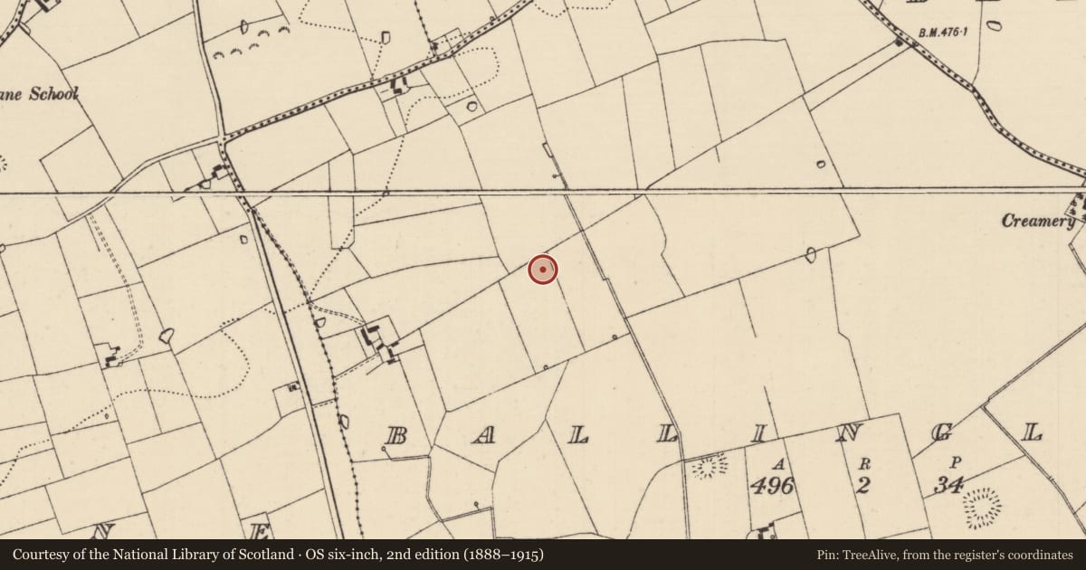 Ordnance Survey six-inch map, 2nd edition (1888–1915) covering the location of Barrow - ring-barrow, Ballinglanna, County Tipperary South, with a pin at the register's coordinates