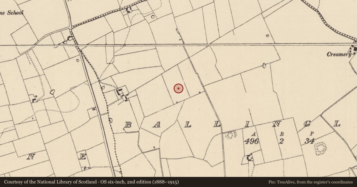 Ordnance Survey six-inch map, 2nd edition (1888–1915) covering the location of Enclosure, Ballinglanna, County Tipperary South, with a pin at the register's coordinates