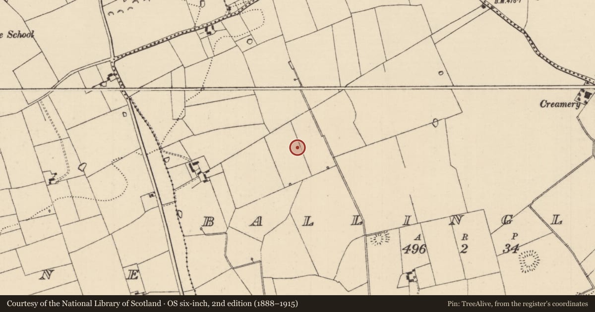 Ordnance Survey six-inch map, 2nd edition (1888–1915) covering the location of Barrow - ditch barrow, Ballinglanna, County Tipperary South, with a pin at the register's coordinates
