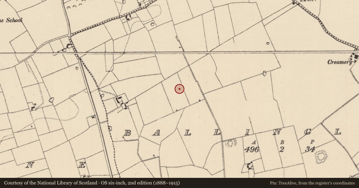 Ordnance Survey six-inch map, 2nd edition (1888–1915) covering the location of Barrow - ring-barrow, Ballinglanna, County Tipperary South, with a pin at the register's coordinates