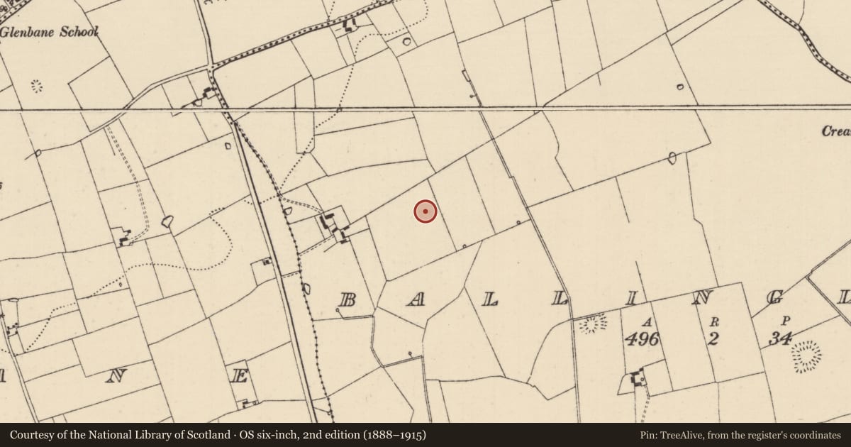 Ordnance Survey six-inch map, 2nd edition (1888–1915) covering the location of Barrow - ring-barrow, Ballinglanna, County Tipperary South, with a pin at the register's coordinates