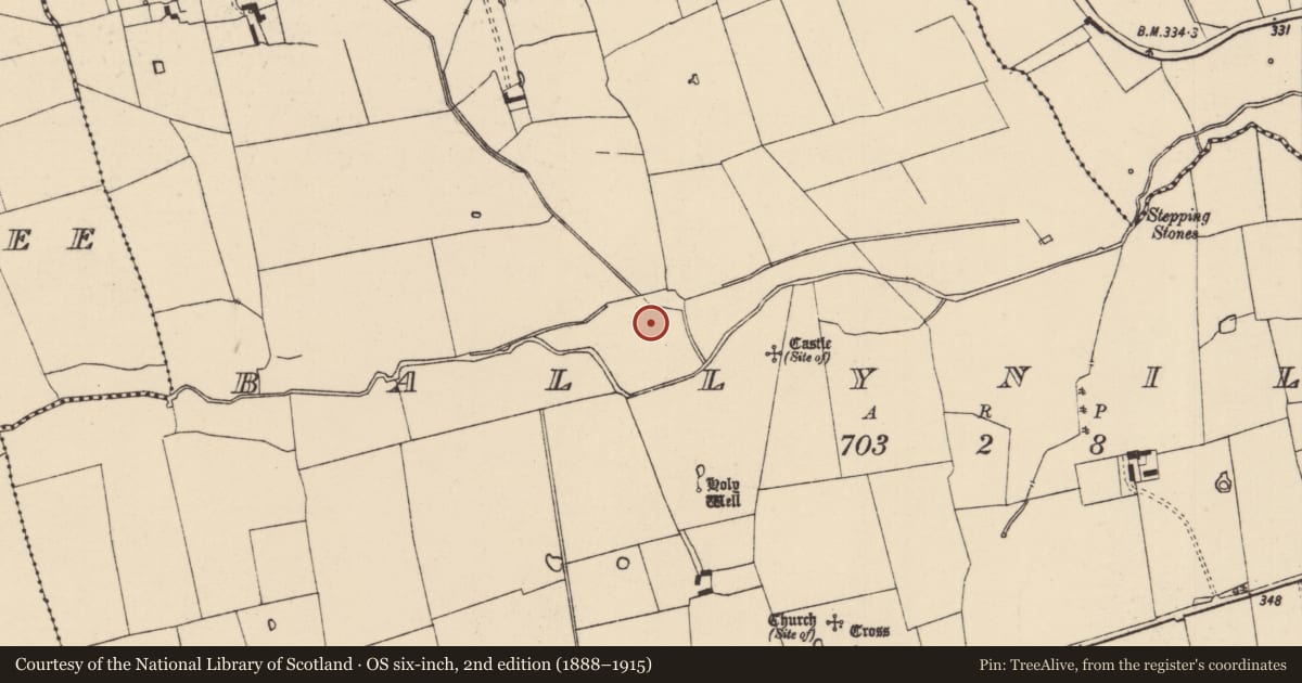 Ordnance Survey six-inch map, 2nd edition (1888–1915) covering the location of Enclosure, Ballynilard, County Tipperary South, with a pin at the register's coordinates