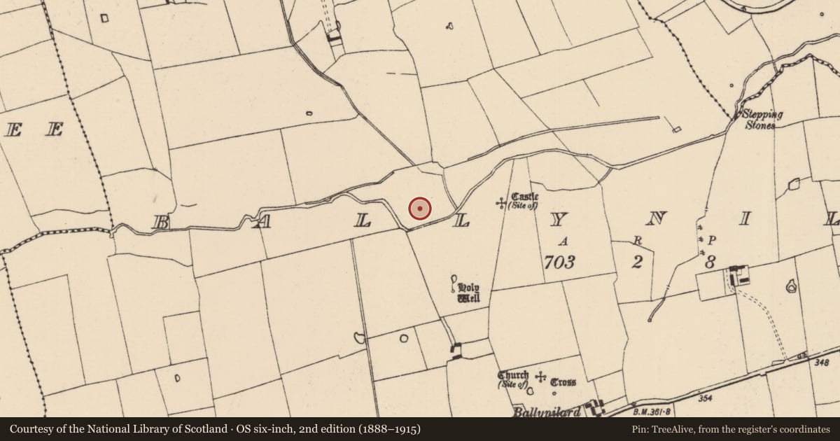 Ordnance Survey six-inch map, 2nd edition (1888–1915) covering the location of Enclosure, Ballynilard, County Tipperary South, with a pin at the register's coordinates