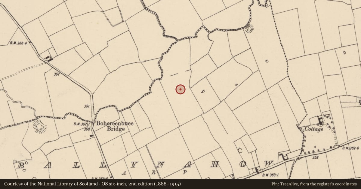 Ordnance Survey six-inch map, 2nd edition (1888–1915) covering the location of Enclosure, Ballynahow (Bruis Par.), County Tipperary South, with a pin at the register's coordinates