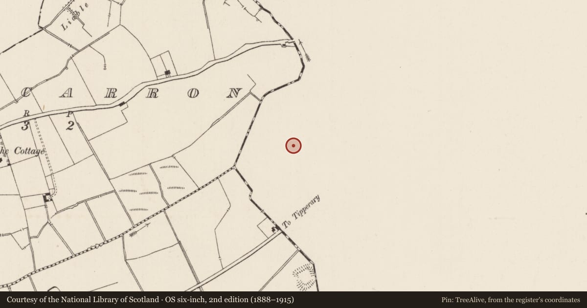 Ordnance Survey six-inch map, 2nd edition (1888–1915) covering the location of Standing stone, Ballywire, County Tipperary South, with a pin at the register's coordinates