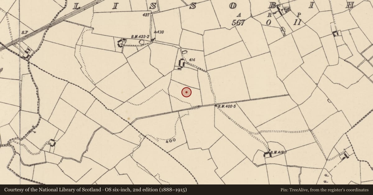 Ordnance Survey six-inch map, 2nd edition (1888–1915) covering the location of Barrow - ditch barrow, Lissobihane, County Tipperary South, with a pin at the register's coordinates
