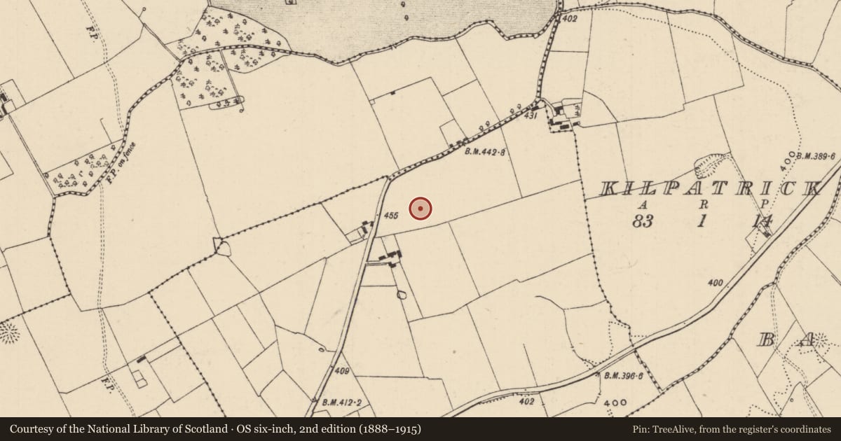Ordnance Survey six-inch map, 2nd edition (1888–1915) covering the location of Ogham stone, Knockballymaloogh, County Tipperary South, with a pin at the register's coordinates