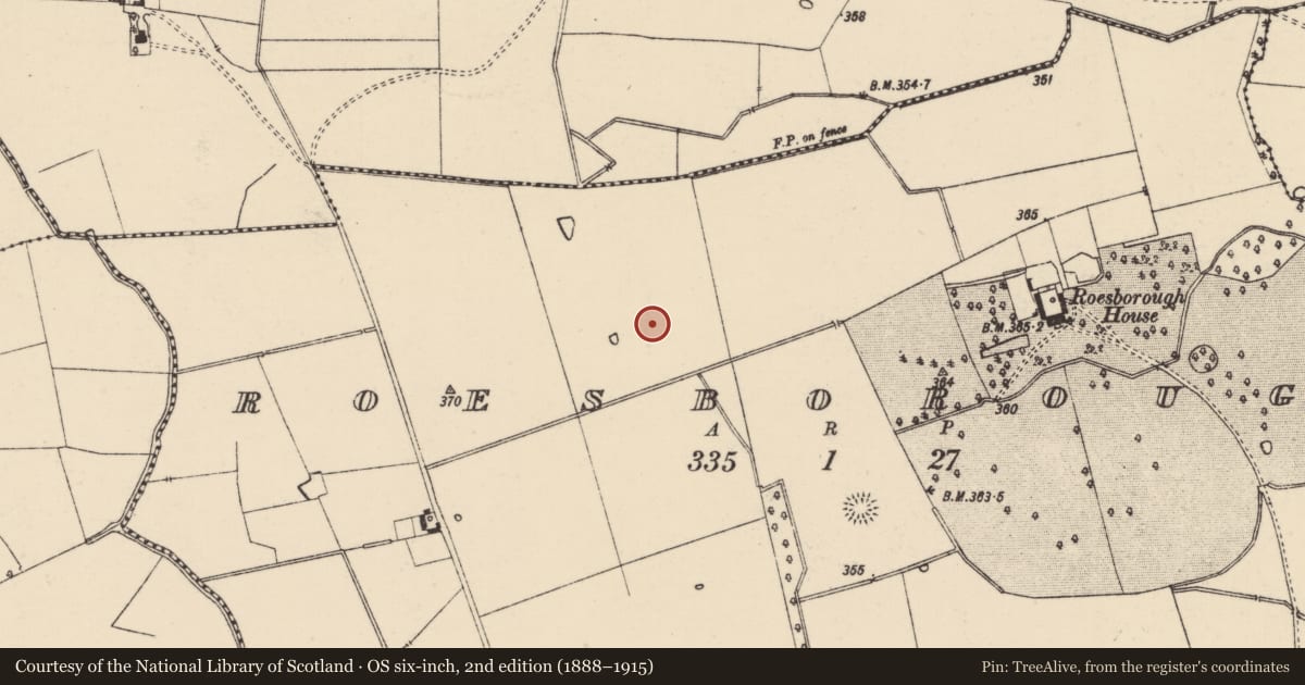 Ordnance Survey six-inch map, 2nd edition (1888–1915) covering the location of Barrow - ring-barrow, Roesborough, County Tipperary South, with a pin at the register's coordinates