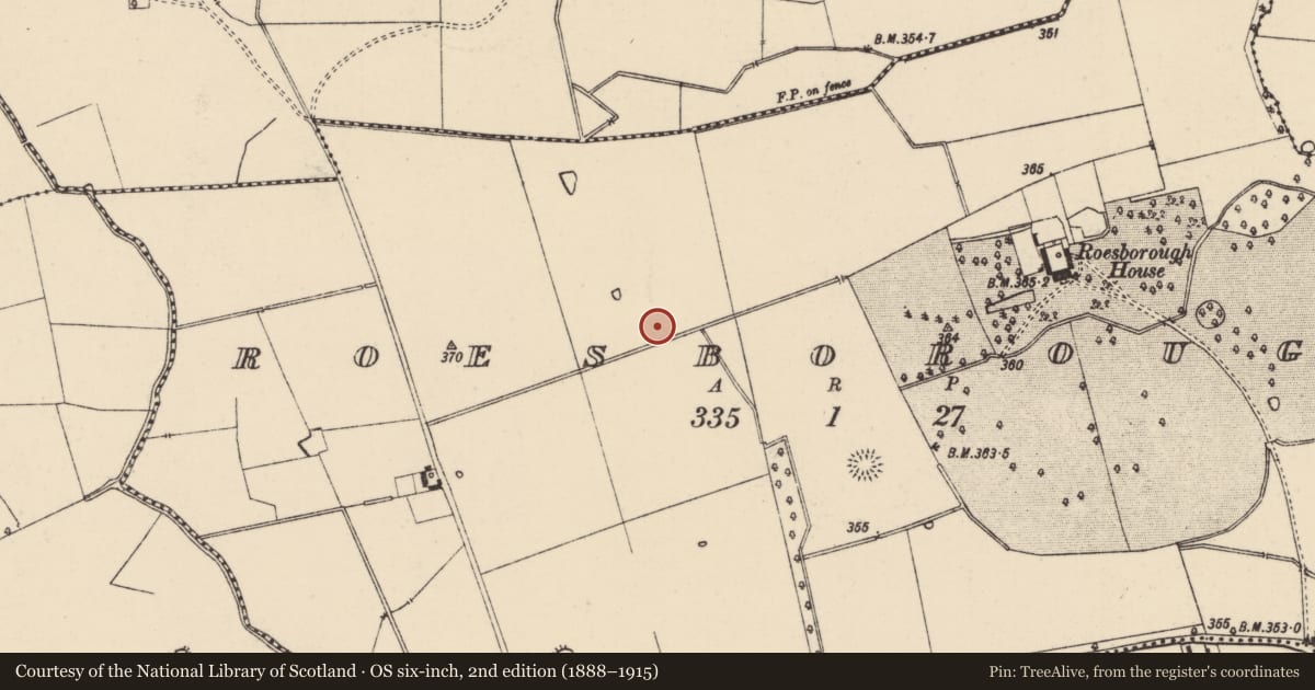 Ordnance Survey six-inch map, 2nd edition (1888–1915) covering the location of Barrow - ring-barrow, Roesborough, County Tipperary South, with a pin at the register's coordinates