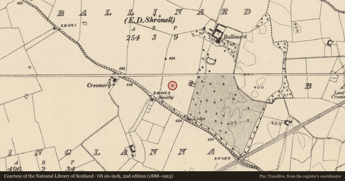 Ordnance Survey six-inch map, 2nd edition (1888–1915) covering the location of Barrow - ring-barrow, Ballinard (Shronell Par.), County Tipperary South, with a pin at the register's coordinates