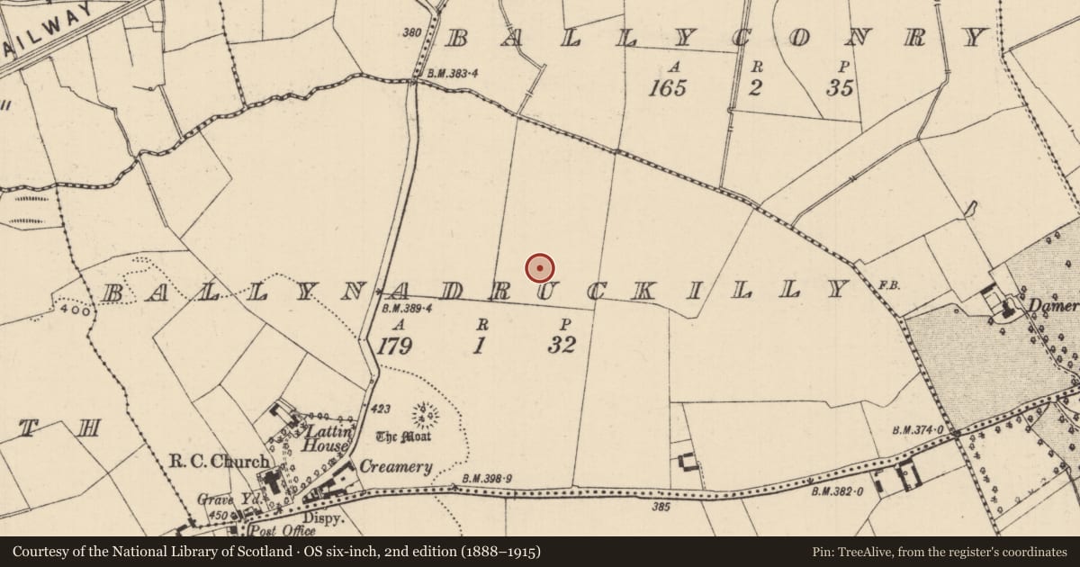 Ordnance Survey six-inch map, 2nd edition (1888–1915) covering the location of Barrow - ring-barrow, Ballynadruckilly, County Tipperary South, with a pin at the register's coordinates