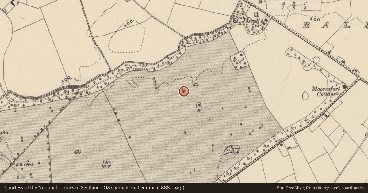 Ordnance Survey six-inch map, 2nd edition (1888–1915) covering the location of Barrow - unclassified, Mooresfort, County Tipperary South, with a pin at the register's coordinates