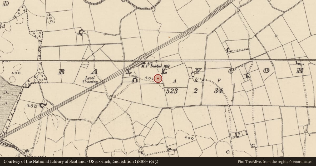 Ordnance Survey six-inch map, 2nd edition (1888–1915) covering the location of Enclosure, Ballycohy, County Tipperary South, with a pin at the register's coordinates