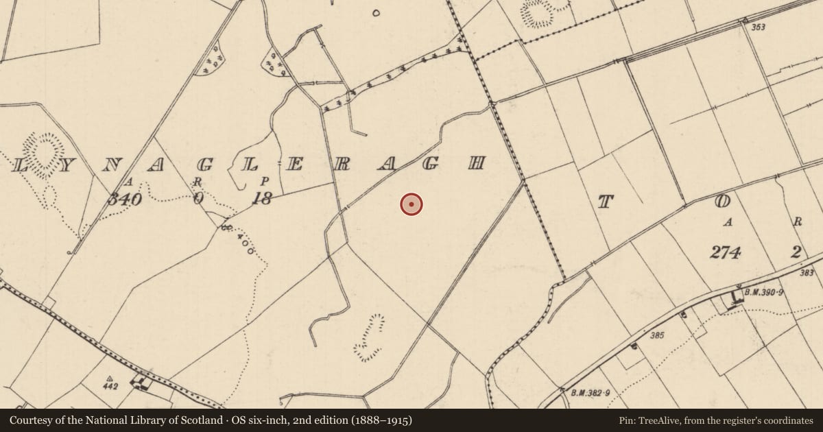 Ordnance Survey six-inch map, 2nd edition (1888–1915) covering the location of Barrow - ring-barrow, Ballynagleragh, County Tipperary South, with a pin at the register's coordinates