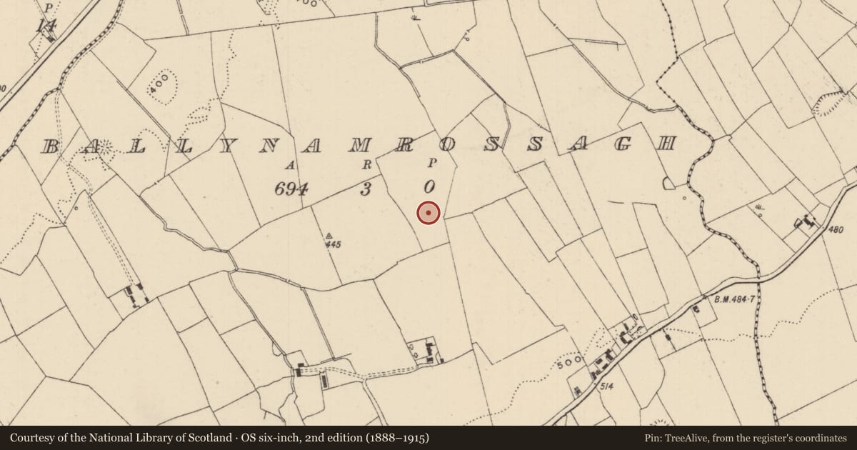 Ordnance Survey six-inch map, 2nd edition (1888–1915) covering the location of Barrow - ditch barrow, Ballynamrossagh, County Tipperary South, with a pin at the register's coordinates