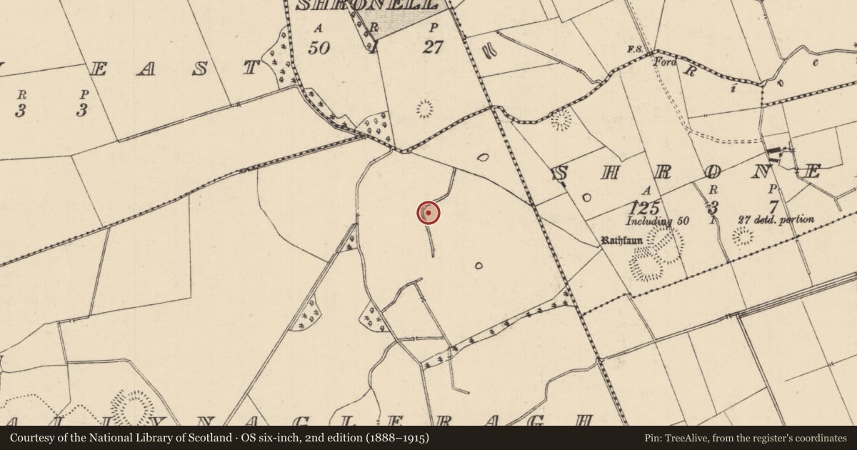 Ordnance Survey six-inch map, 2nd edition (1888–1915) covering the location of Barrow - ring-barrow, Ballynagleragh, County Tipperary South, with a pin at the register's coordinates
