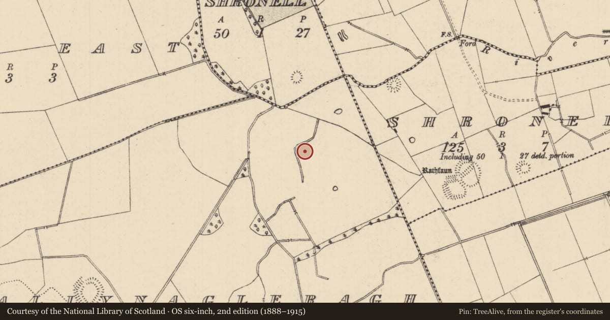 Ordnance Survey six-inch map, 2nd edition (1888–1915) covering the location of Barrow - ring-barrow, Ballynagleragh, County Tipperary South, with a pin at the register's coordinates