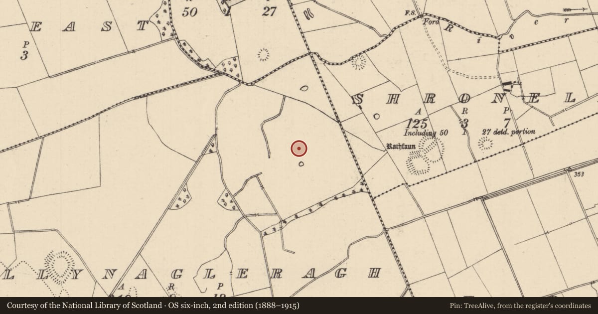 Ordnance Survey six-inch map, 2nd edition (1888–1915) covering the location of Barrow - ditch barrow, Ballynagleragh, County Tipperary South, with a pin at the register's coordinates