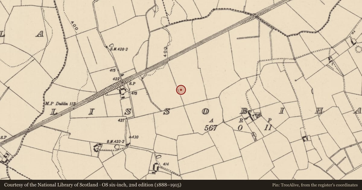 Ordnance Survey six-inch map, 2nd edition (1888–1915) covering the location of Barrow - ditch barrow, Lissobihane, County Tipperary South, with a pin at the register's coordinates