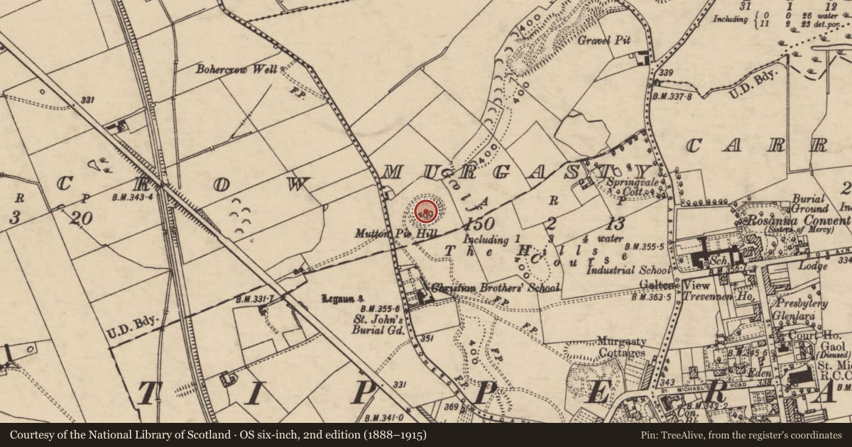 Ordnance Survey six-inch map, 2nd edition (1888–1915) covering the location of Castle - motte, Murgasty, County Tipperary South, with a pin at the register's coordinates