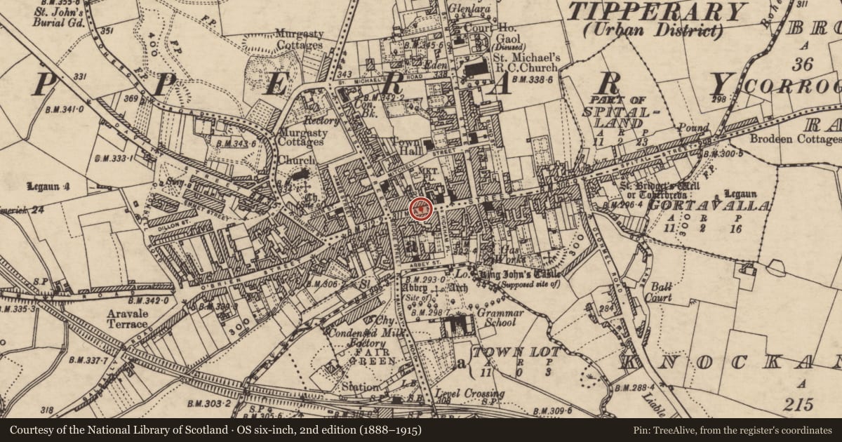 Ordnance Survey six-inch map, 2nd edition (1888–1915) covering the location of Historic town, County Tipperary South, with a pin at the register's coordinates