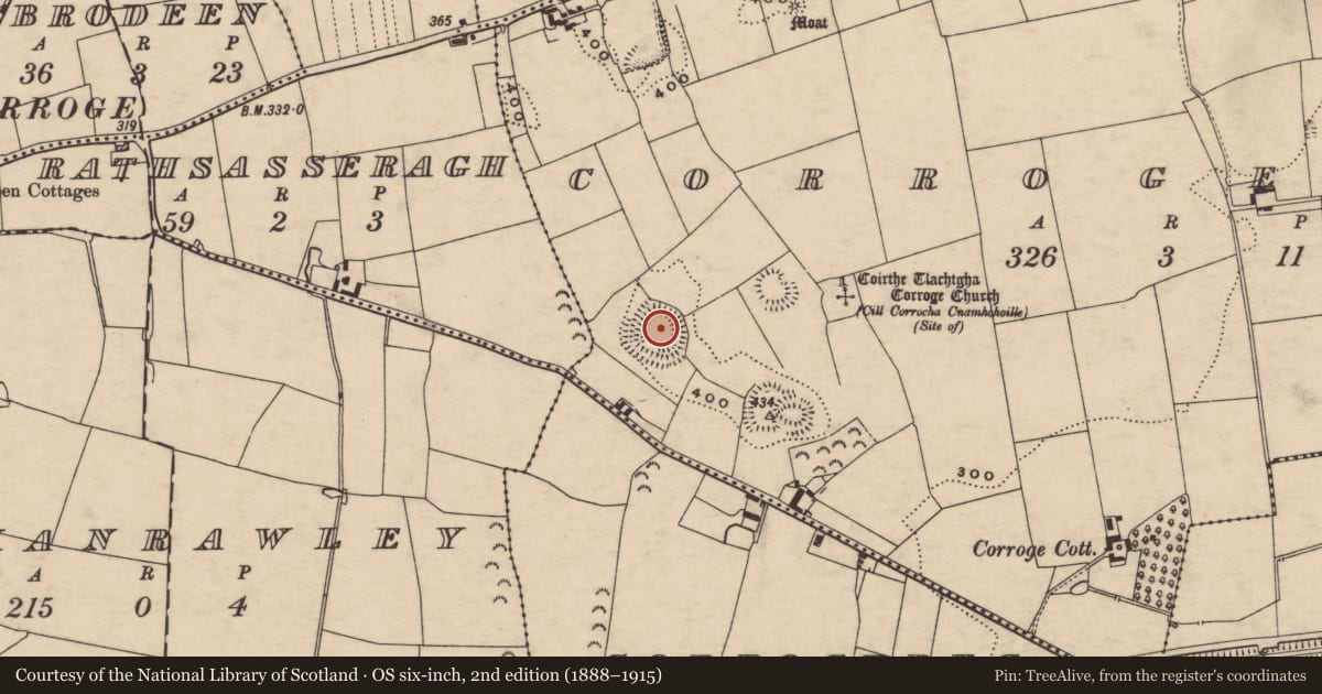 Ordnance Survey six-inch map, 2nd edition (1888–1915) covering the location of Castle - ringwork, Corrogemore, County Tipperary South, with a pin at the register's coordinates